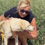 219a8e65 3a20 4e64 a2f4 3177b2aa4819