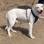 25298cf0 4482 495f 8af5 84938995c7cd