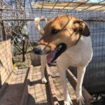 25b7b8f1 a668 4310 a9f0 5d48bab3d40d