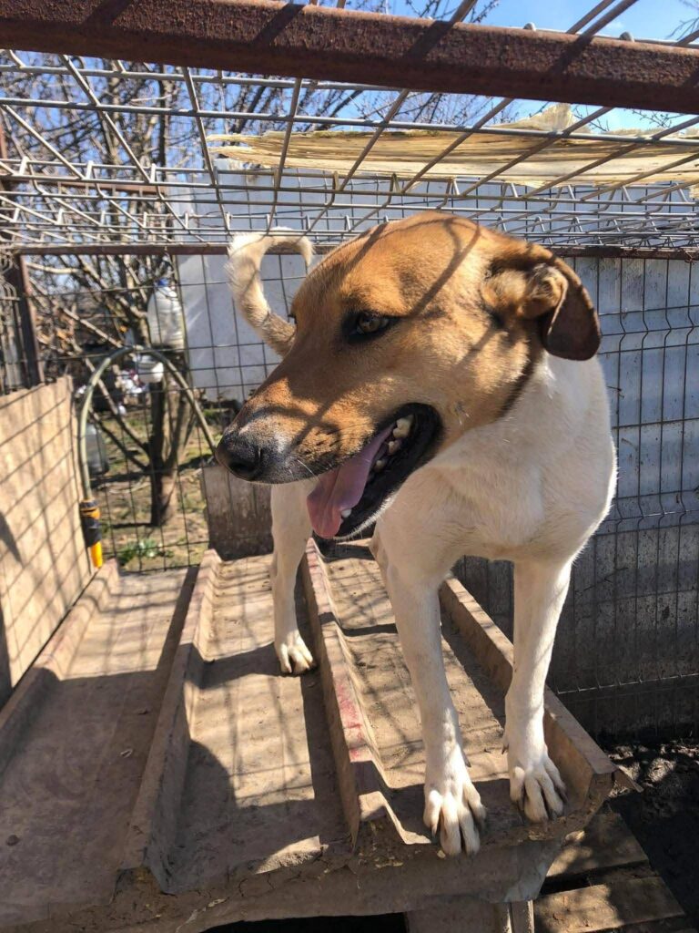 25b7b8f1 a668 4310 a9f0 5d48bab3d40d