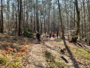 2f5de1fb 8079 4a17 a68c a80af08f783b