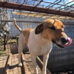 36c1de0c eb2f 4813 8049 47d8e6d4aeee