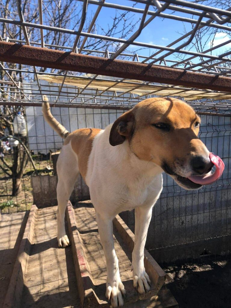 36c1de0c eb2f 4813 8049 47d8e6d4aeee