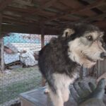 424a4c54 1b37 4b58 999b 083925e8d90e