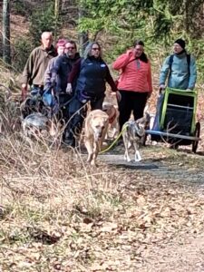 428239b8 4c38 4506 9617 afd1438b2a2c