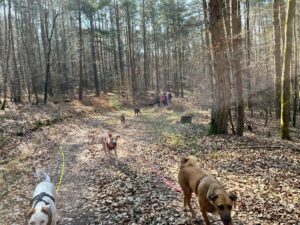 47d963b3 6846 4287 b1c9 589e453c4e2c