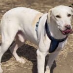 53fc7f5c c019 4593 bd86 8a0b642766dc