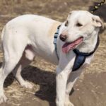 575d61c9 169f 4cf8 b5d0 613648093329