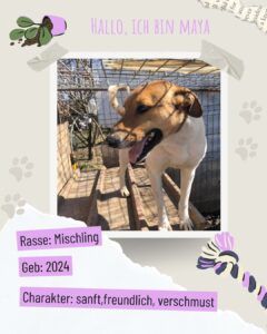 68c25f6c c628 461f b919 70780aba0aea