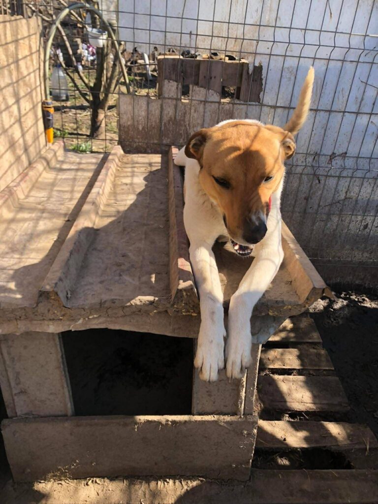 6db99726 6284 49fa 8624 51a403246954