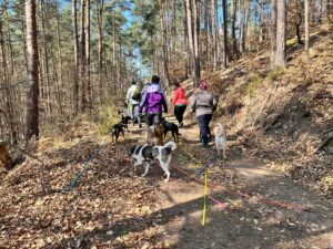 70b00394 01f9 4795 a15e e383804b599b