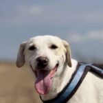 8247eaf6 f911 4627 a0e7 99527d2adf4d