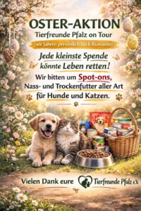 83a0d327 3ce9 4931 8afc 687d04a8a27d