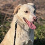 9072f81a 07e6 47dc a244 59eb07b1e302