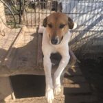 9b851960 7d14 4579 83c8 2181a4858b0c