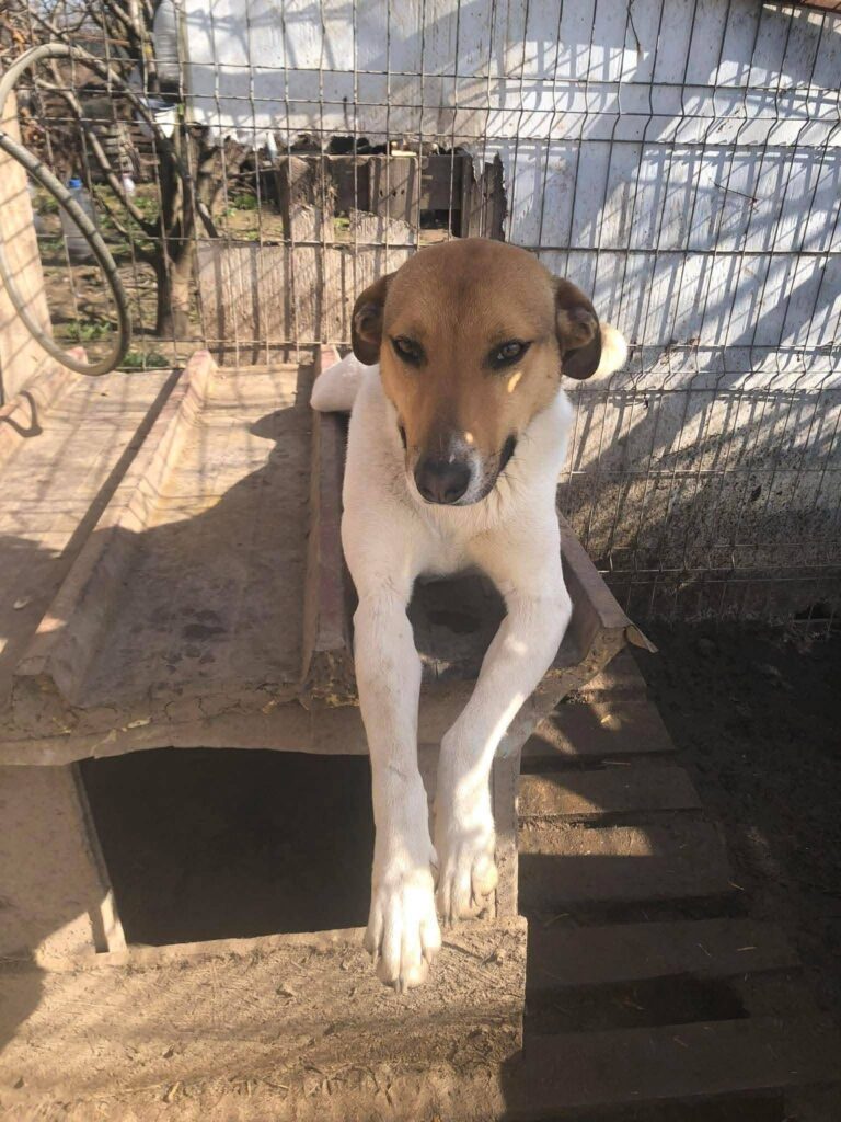 9b851960 7d14 4579 83c8 2181a4858b0c