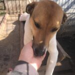 A07303b8 ff3e 41b6 b590 3ccb575bd0c6