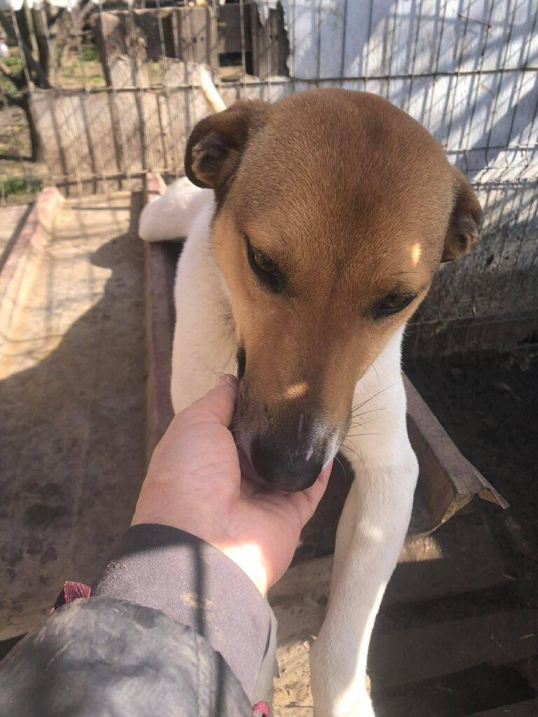 A07303b8 ff3e 41b6 b590 3ccb575bd0c6