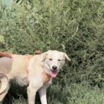 B2673cb0 42ce 4de1 b028 44e9db1a46f1