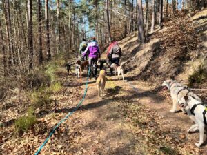 B6293164 a350 41d7 819b cbde021ce972