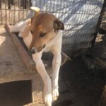 B62aa610 f86e 4e80 9abd 22c308010ed2