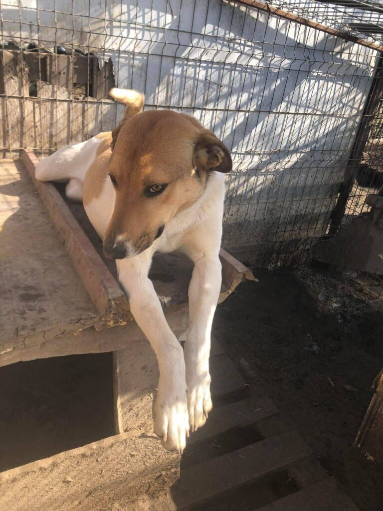 B62aa610 f86e 4e80 9abd 22c308010ed2