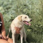 C1b469c3 5cd6 41da b058 012a6495e1d0