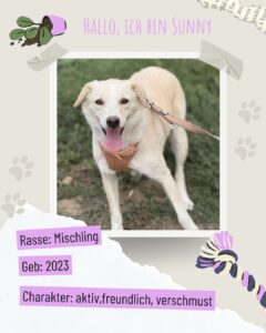 C69b74b2 1a65 44db b055 c574996f8ed1