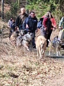 C781c8ce e768 4fbd 95f8 d540e1616efc