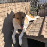 D2de7c14 a662 4378 b904 34dd453b8fa7