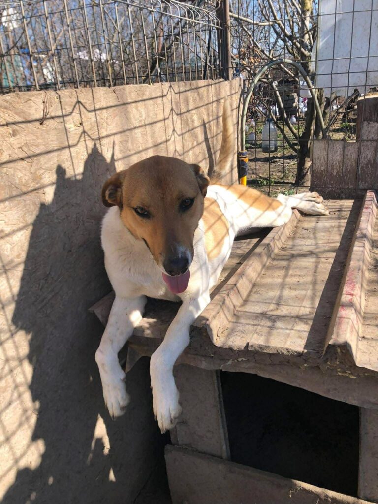 D2de7c14 a662 4378 b904 34dd453b8fa7