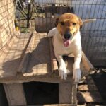 D55d19a3 5904 4b99 a512 abaf8eaf9d59