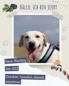 D61ad550 4bff 4a2f b437 adafbf3644ca