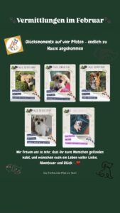 Happy End im Februar