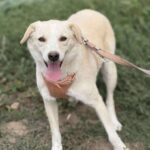 Da0d6bf4 5d16 4491 9ca0 3915df55cce8