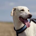 Ef7e1f55 4f9d 4c49 8400 bca25514125e