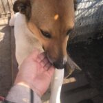 Efd94a52 308f 4ac9 ac88 8775a788ef15