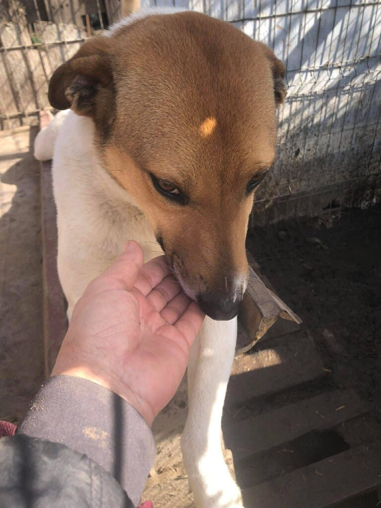 Efd94a52 308f 4ac9 ac88 8775a788ef15