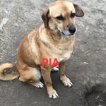 Fe6fc456 5aaf 45f5 b752 93e80d354c62