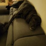 008b63d3 81fc 4fb4 8d78 6e4879121a1a