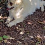 06f5cdea e56f 4892 bc69 fd2598113f1d