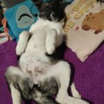 139083fb f1c4 4fa3 9f5d 44892487eac6