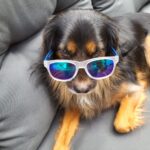 172c2ece 0a93 49fa 915e 37315311ce1c