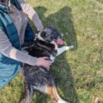 18befc1b 25b5 4234 beaa 1a6e790500b8