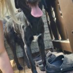 24c90739 a414 4412 9eab 878db60a70b8