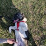 2a02fd27 248b 49ff a562 c0d553388c93