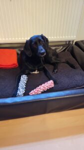 3258556a 50e5 4d68 bb44 2bbc7b5e0384