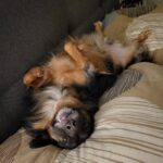 4bba3080 e4c3 4800 8a7b c9e85fda8178