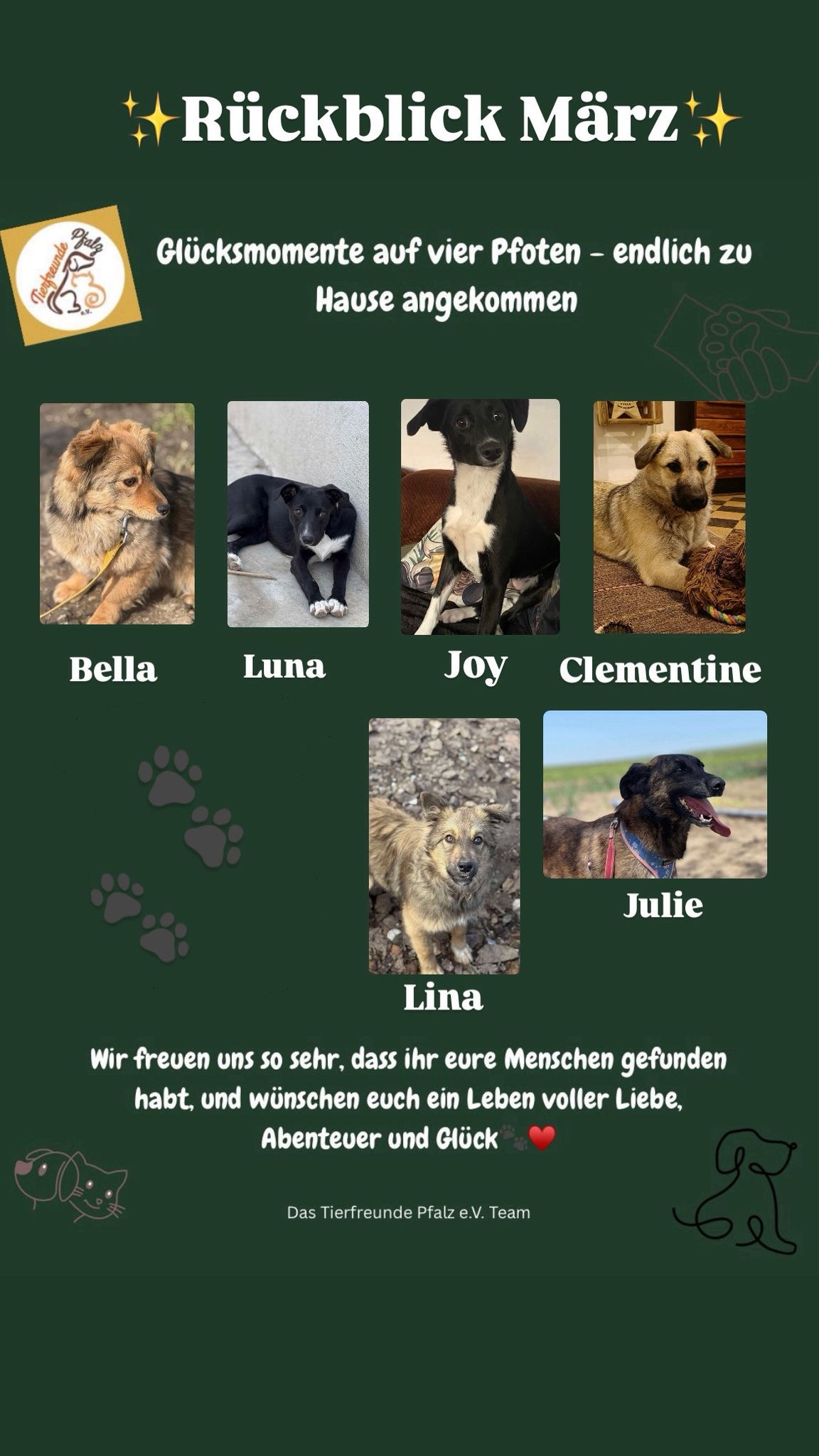 508df57a 843c 4ab6 afd4 f886f29a524f