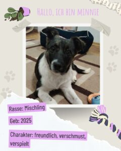 57b9c9f8 93ba 43eb a6c8 0760f962bfde